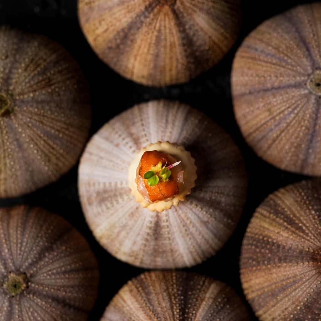SM0-Summer-Canape-3
